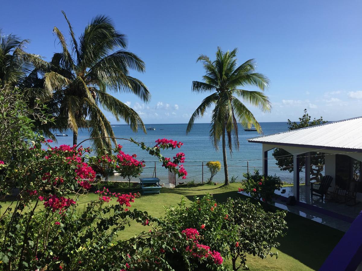 Hotel Sea View à Petite Île du Maïs Extérieur photo
